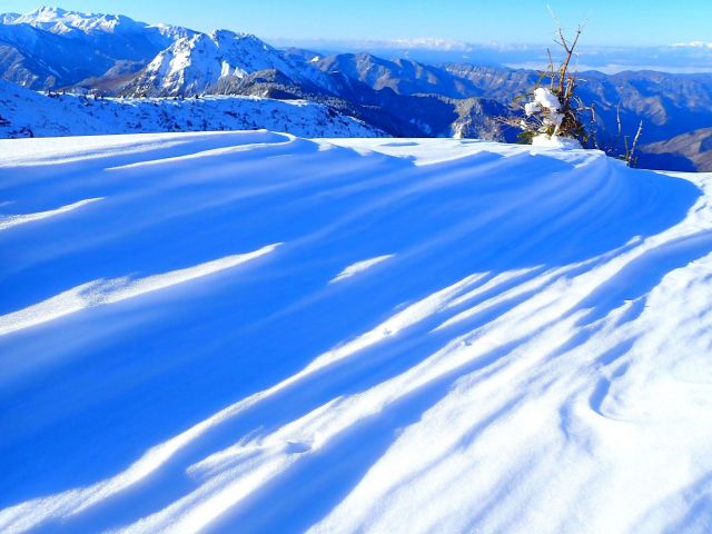 未知の雪世界へ！極上スキーツアー体験記