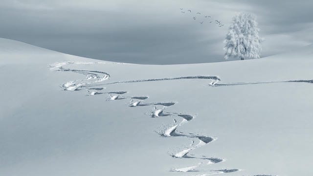 雪山の魅力とスキー体験の楽しさ